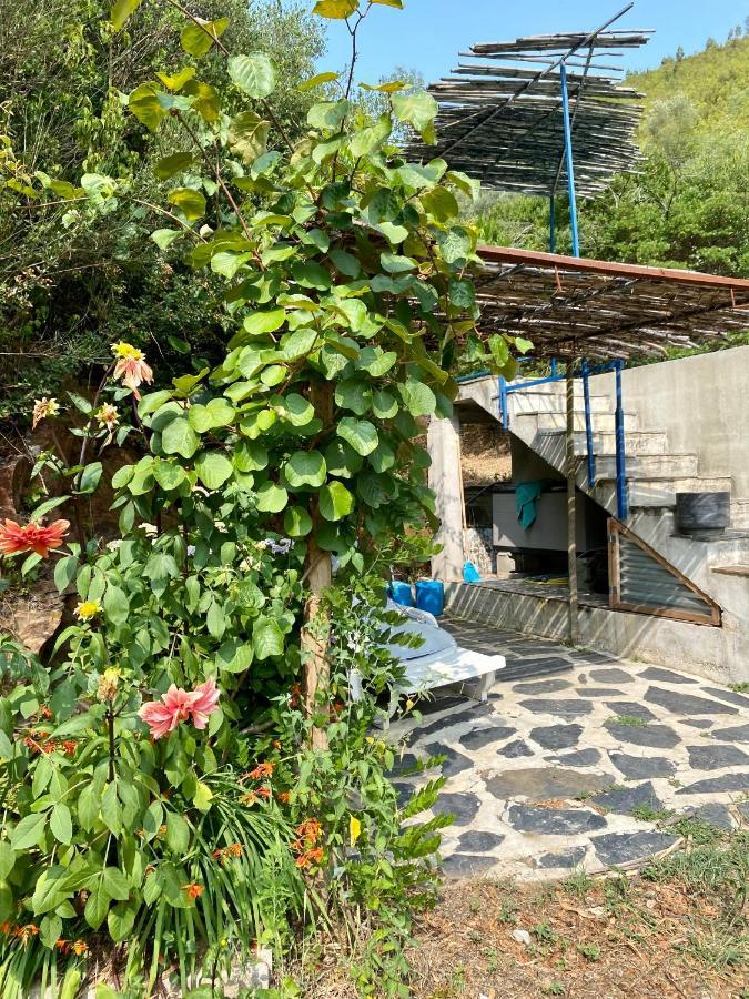 Guest Room Agro-Turismo Quinta Da Fonte Bed&Breakfast Figueiro Dos Vinhos Ngoại thất bức ảnh