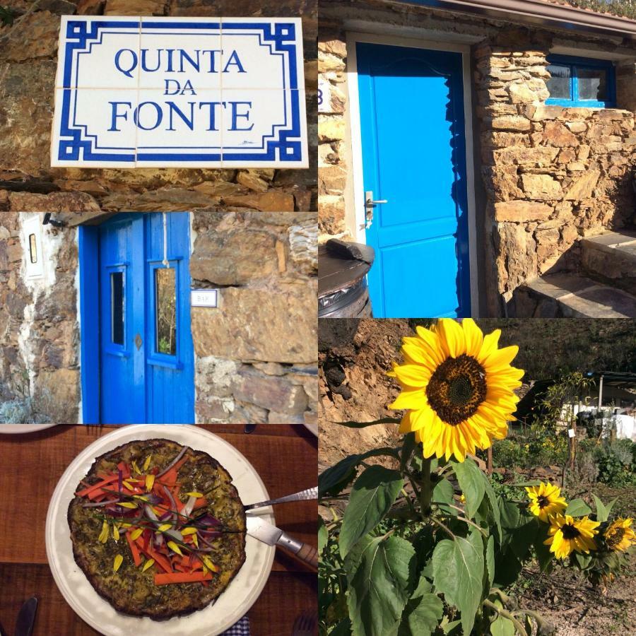 Guest Room Agro-Turismo Quinta Da Fonte Bed&Breakfast Figueiro Dos Vinhos Ngoại thất bức ảnh