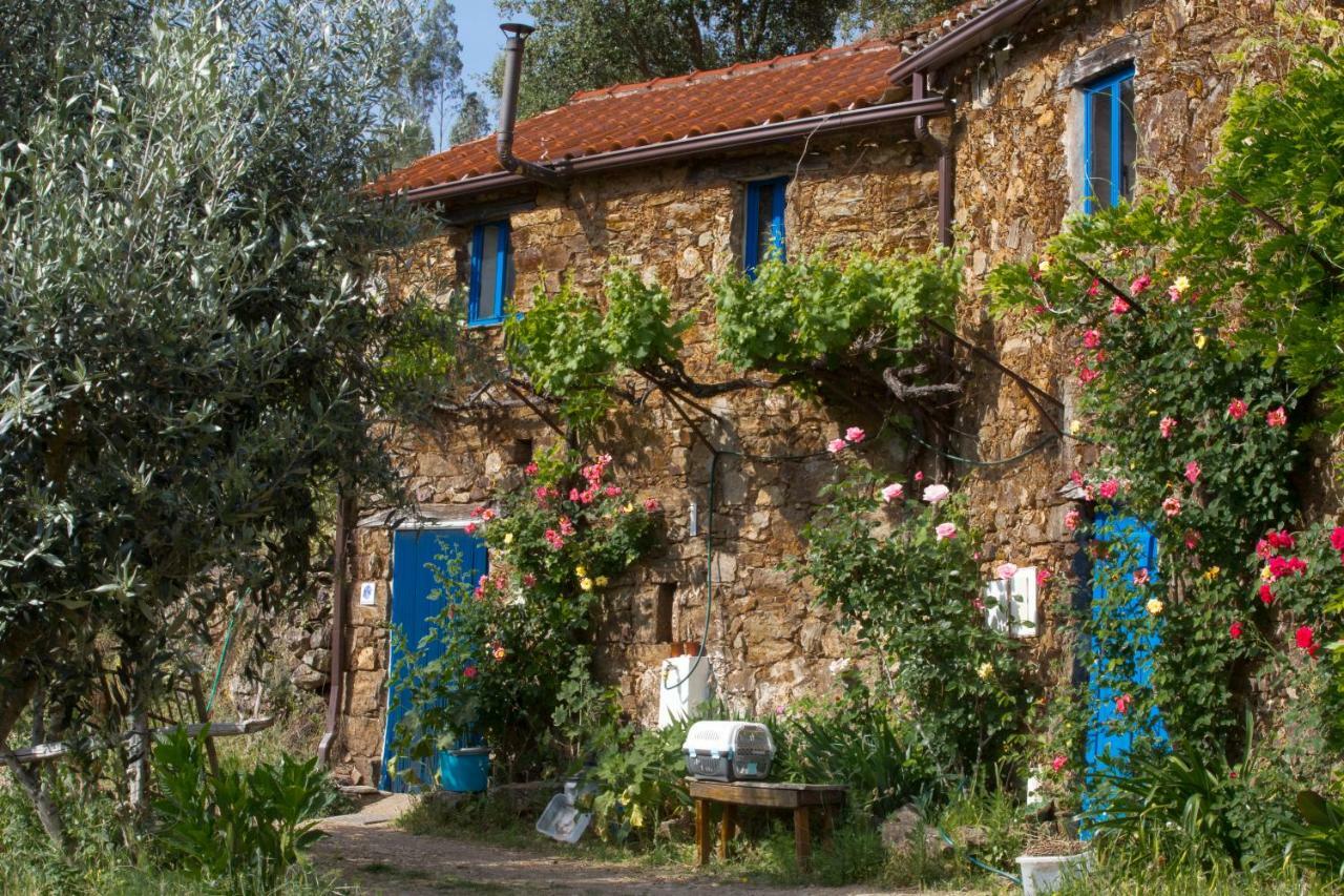 Guest Room Agro-Turismo Quinta Da Fonte Bed&Breakfast Figueiro Dos Vinhos Ngoại thất bức ảnh